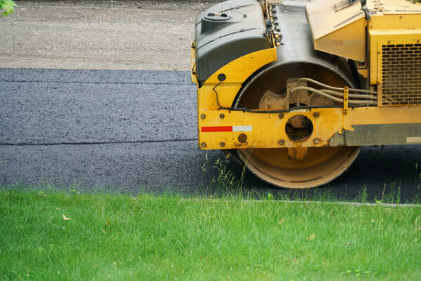 Best Driveway Border and Edging  in Belvidere, IL